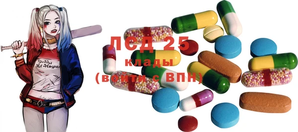 бошки Абаза