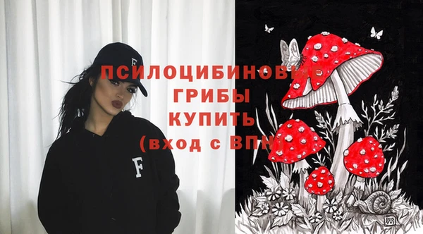 бошки Абаза