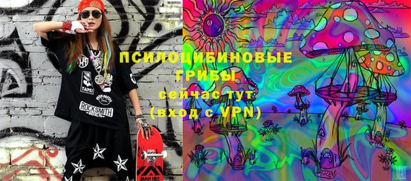 бошки Абаза